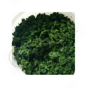 FEUILLES DE MANIERE PREMIUM DU VIETNAM // PRODUIT DE FEUILLES DE MANIERE CONGELÉES // MEILLEUR PRIX VIETNAM - Product Image 5