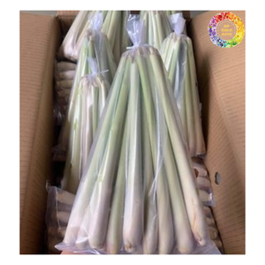 Citronnelle congelée à long bâton pour l'exportation, Citronnelle IQF congelée la plus vendue en vente, Citronnelle congelée en vrac - Product Image 3