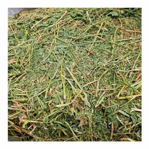 Higher Protein Alfalfa Hay/Timothy Hay en venta - Product Image 4