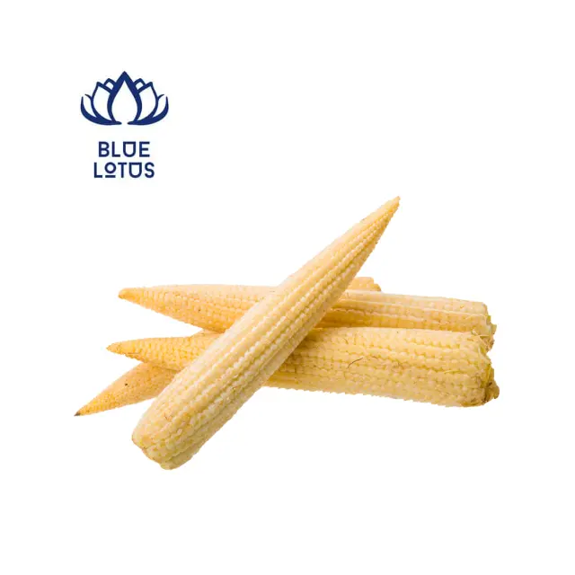 Low Price Frozen Baby Corn for Cooking Kitchen - High Quality Product From Vietnam
