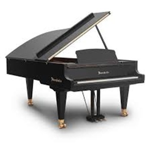 Mejor Precio, Piano de Concierto Bosendorfer de Grado Industrial 230VC y Vertical - Product Image 3