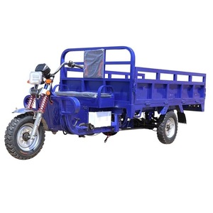 Tricycle électrique de transport de marchandises, véhicule utilitaire à trois roues, camion de livraison léger, 60V, carrosserie en métal argenté - Product Image 4