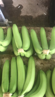 Topkwaliteit Cavendish Bananen – Oorsprong Vietnam, zoet en romig, perfect voor retailketens