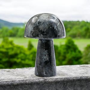 Larvikite champignon cristal naturel sculpture pierre de guérison Mini figurine de pierres précieuses pour Reiki énergie décor à la maison et cadeaux - Product Image 5