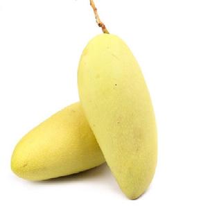 Mangue Premium Fraîche Jaune Délicieuse Sucrée Naturelle Non OGM 5kg - Product Image 2