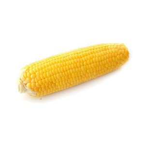 MAÍZ OGM o NO OGM/MAIZE/Maíz amarillo y maíz blanco para alimentación humana y animal - Product Image 3