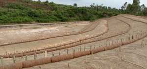 ที่มุ่งเน้นการส่งออกที่มีคุณภาพสูงที่เป็นมิตรกับสิ่งแวดล้อมจากบังคลาเทศ100% การควบคุมการกัดเซาะของดินปอกระเจา - Product Image 3