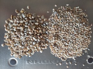 Revestimiento de epoxi, guijarros, suelo de epoxi para superficies duraderas, elegantes y antideslizantes en edificios de construcción de Australia - Product Image 5