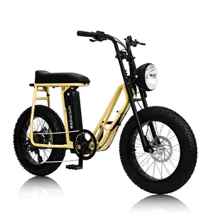 looking for distributor agent, Unimoke SW yellow of Urban Drivestyle for woman low step through pedelec electric bike