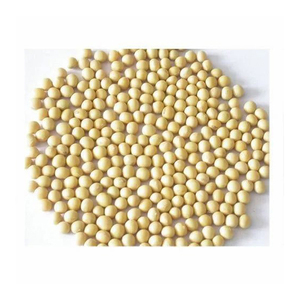 Soja certifié + soja jaune non OGM + graines de soja Soja de haute qualité non OGM de haute qualité Soja jaune non OGM de haute qualité - Product Image 2