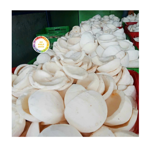 Tipo IQF Cocos congelados Venta al por mayor Cocos enteros maduros con sabor dulce Semi cáscara Embalaje a granel - Product Image 1