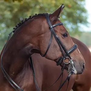 Double bridle is defined by having two bits a snaffle referred to in this context as a bridoon or bradoon and a curb