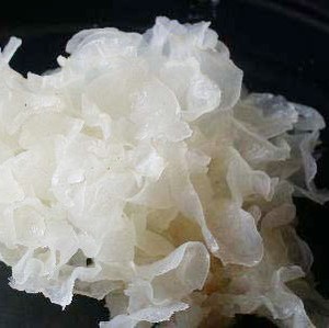 Champignon de neige frais de vendeur vietnamien distributeur entier délicieux - Product Image 3