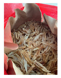 Tripa de Pescado Seca envasada a Granel, Rica en Colágeno, para Restaurantes Enfocados en la Salud, Compradores Internacionales de Exportación, Limpia Cuidadosamente, Congelada en Sal - Product Image 3