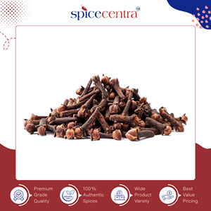 Clous de girofle entiers crus séchés de haute qualité 100% purs et authentiques d'origine indienne avec une durée de conservation de 12 mois Marque Spicecentra à bas prix - Product Image 6