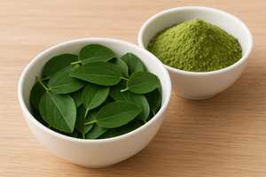 Ziziphus Spina Christi ผงสมุนไพรสำหรับดูแลเส้นผมส่งเสริมการเจริญเติบโตของเส้นผมบำรุงหนังศีรษะ - Product Image 2