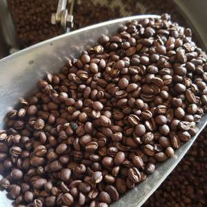 โรบัสต้าบริสุทธิ์60กก. A บวก95ถึง99% เมล็ดกาแฟขนาด16จากเวียดนาม - Product Image 3