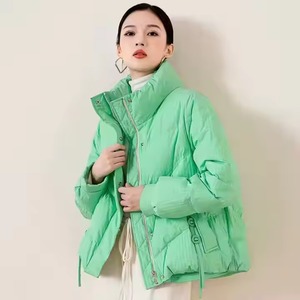 Manteau matelassé en duvet pour femmes, imperméable et chaud, avec poche inclinée, col montant simple sans chapeau, longue veste en duvet pour femmes - Product Image 6