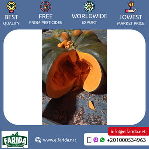 Calabaza congelada en cubitos de exportación de origen egipcio, fruta dulce y deliciosa altamente nutritiva de grado premium de excelente calidad a la venta - Product Image 6