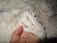 Mèches de déchets en fil non blanchis, 100% coton, avec AQSIQ et CCIC, livraison gratuite