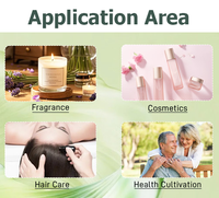 Huile de Beurre de Karité Pressée à Froid avec une Texture Soyeuse pour des Soins de la Peau et des Cheveux, Idéale pour les Massages et les Mélanges Cosmétiques