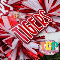 Bastón de Animación Personalizado con Pompones, Agitadores de Animación con Nombre Personalizado, Accesorio para Juegos Deportivos Escolares, Eventos y Reuniones de Animación