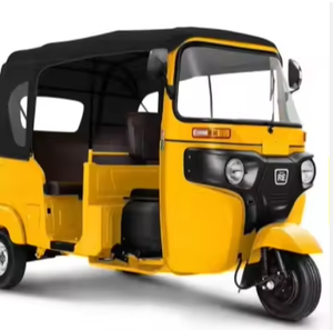 Bajaj Keke de 3 Ruedas con Motor Eléctrico de 1000W, Carrocería Abierta, 60V, Listo para Enviar, Garantizado, con Características Comunes - Product Image 1
