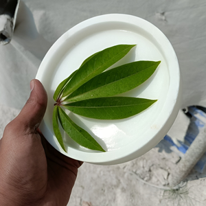 Bandeja redonda de cerámica de mármol para decoración del hogar para tocador de baño y exhibición de frutas - Product Image 1