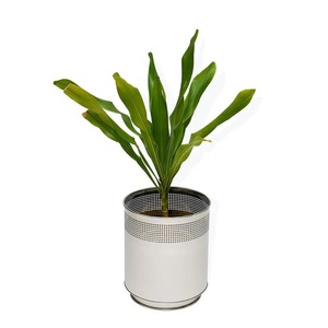 Jardinière moderne en acier inoxydable Conteneur de fleurs décoratif de jardin léger et résistant à la rouille pour l'intérieur et l'extérieur - Product Image 5