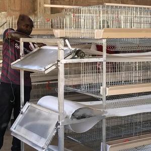 Jaulas <span class=keywords><strong>para</strong></span> Aves de Corral Tipo H con Cinta <span class=keywords><strong>Transportadora</strong></span> de Estiércol de PP con Grosor de 1.0mm/1.2mm - Product Image 2