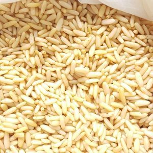 Approvisionnement en gros en pignons de pin biologiques Pakistan graines comestibles de qualité supérieure à prix bon marché - Product Image 3