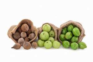 PURE TERMINALIA BELLIRICA POLVO PARA APOYO INMUNE Y FORMULA LIMPIA DETOX - Product Image 4