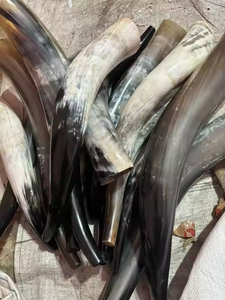 แตรเป่าธรรมชาติคุณภาพสูงและแตรเป่าด้วยงานฝีมือเสี้ยว - Product Image 2