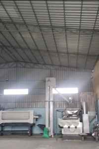 Especias y hierbas individuales de calidad superior Perejil seco Exportación cruda Sabor natural de cultivo más nuevo - Product Image 4