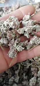 Menghua Yang Er <span class=keywords><strong>Duo</strong></span>, Flores Secas Naturales de Buddleja Officinalis Maxim, Brotes Silvestres de Fujian en Venta - Product Image 4