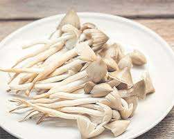 ETIQUETA LIMPIA DE SETAS TERMITAS COSECHAS SALVAJES - Product Image 6