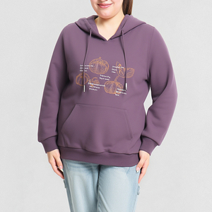 Sudadera con capucha de manga larga con logotipo personalizado de talla grande para Otoño e Invierno - Product Image 2