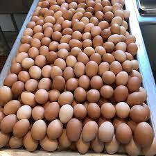 Œufs bruns décortiqués frais de ferme indiens de haute qualité, marque mondiale Radiance, certifiés Halal ISO9001/HACCP, riches en nutriments, à vendre - Product Image 3