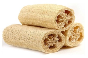 Best Product 100% Natural Bath Loofah Sponge No Chemical Unbleached Shower Sponge Loofah From Vietnam - Product Image 4