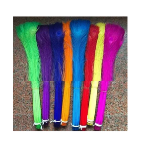 Ramo de Plumas de Pavo Real Decorativas Crudas de Primera Calidad para Proyectos de Arte en el Hogar, Decoraciones de Fiestas y Bodas y Diseño de Disfraces de Moda - Product Image 6