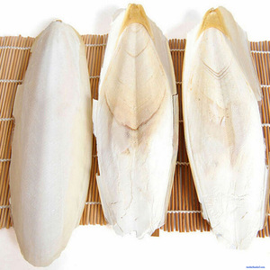 Fournisseur B2B de matières premières de seiche de qualité supérieure pour les produits de la mer séchés traditionnels asiatiques Meilleur - Product Image 3