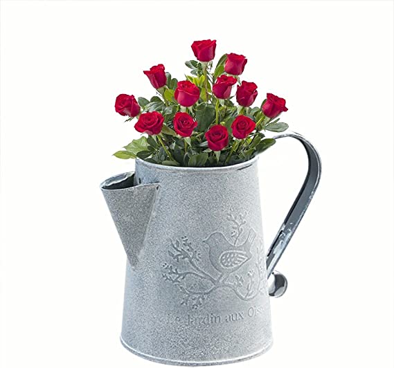 Set Di 2 Annaffiatoi Vintage In Ferro Zincato | Vasi Per Fiori Da Interno/Esterno | Contenitori Decorativi Rustici Per Ufficio E Giardino
