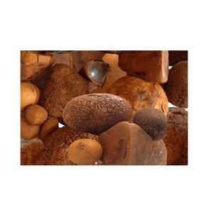 Cálculos Biliares de Buey 100% Naturales / Cálculos Biliares de Ganado / Cálculos Biliares de Vaca - Product Image 6