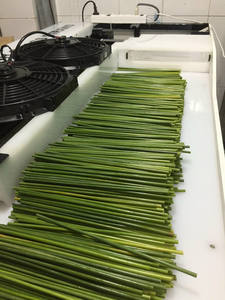 หลอดไม้ไผ่และฟางหญ้าจากเวียดนามผลิตภัณฑ์งานฝีมือ - Product Image 3