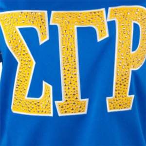 Camiseta de fútbol SGR-Royal 100% poliéster Sigma Gamma Rho Sports Jersey bordado logotipo del equipo en la parte delantera, trasera y hombros - Product Image 5