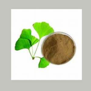 Polvo de extracto de raíz de Ginkgo Biloba japonés cultivado salvaje Suplemento de salud cerebral natural para soporte de memoria y circulación - Product Image 1