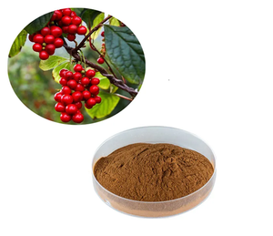 Polvo de extracto de Schisandra natural y puro, suplemento de hierbas Premium para Energía, vitalidad y apoyo al estrés - Product Image 3