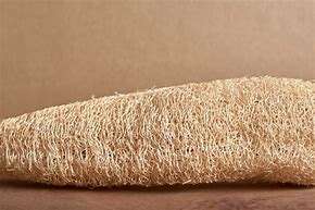 100% Organic Loofah Whole Sustainable, exfoliación natural, alta calidad de VIET FARGIMEX - Product Image 6