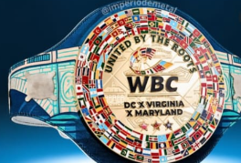 Ceinture de championnat professionnelle personnalisée en cuir, ceinture de boxe, légère, respirante, style grappling, adulte, 1 pièce - Product Image 4