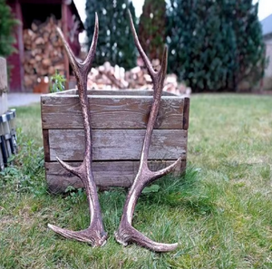 Cornes de bœuf rouges naturelles de haute qualité pour animaux de compagnie, artisanat et décoration, longue durée de conservation - Product Image 4